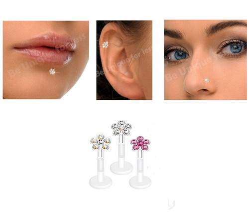 Labret bars tragus helix bio - bars,
